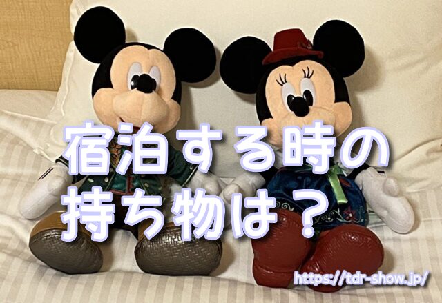 夏 ディズニー 持ち物