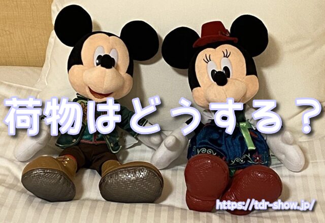 ディズニー 泊まり 荷物