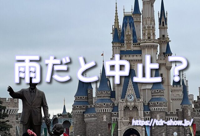 ベイマックスのミッションクールダウン 雨 雨バージョン