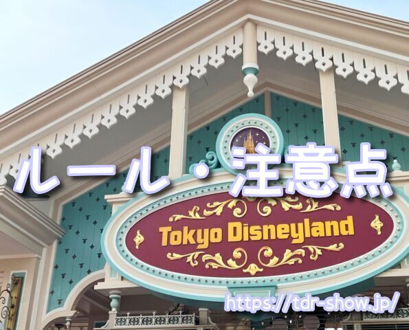 ディズニー ポップコーンバケット 持ち込み