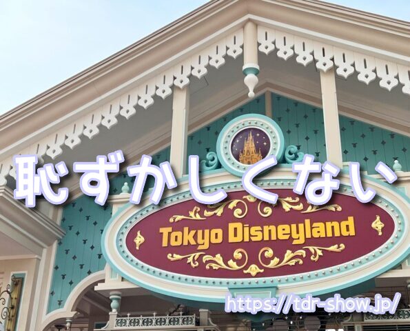 ディズニー ポップコーンバケット 持ち込み