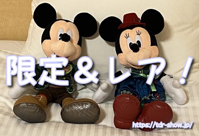 ディズニー　カチューシャ