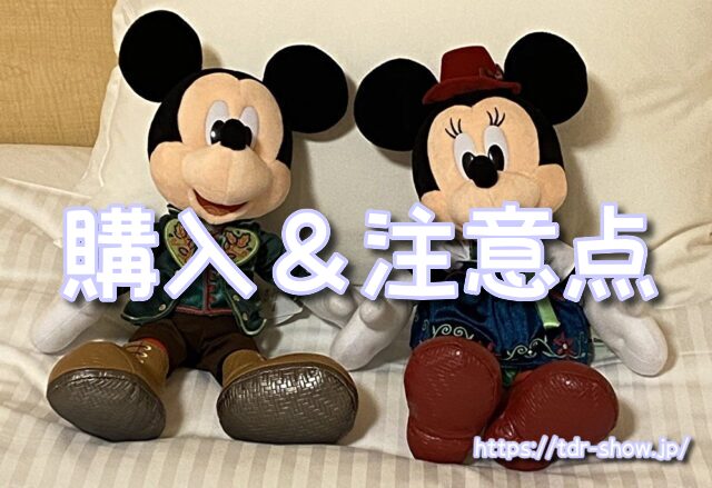 ディズニー ポップコーンバケット