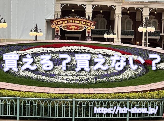 ディズニー ポップコーンバケット