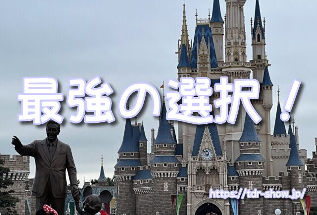 ディズニーショー 見える
