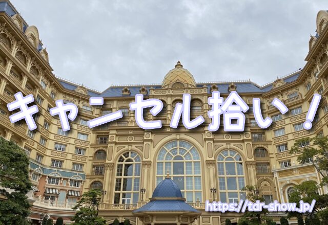 ディズニーショー 見える