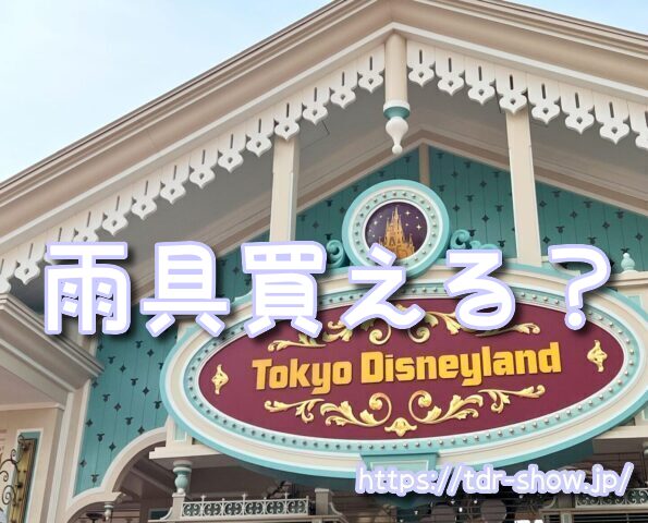 雨ディズニー　勝ち組