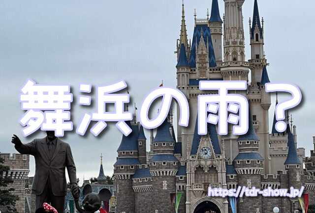 雨ディズニー　勝ち組