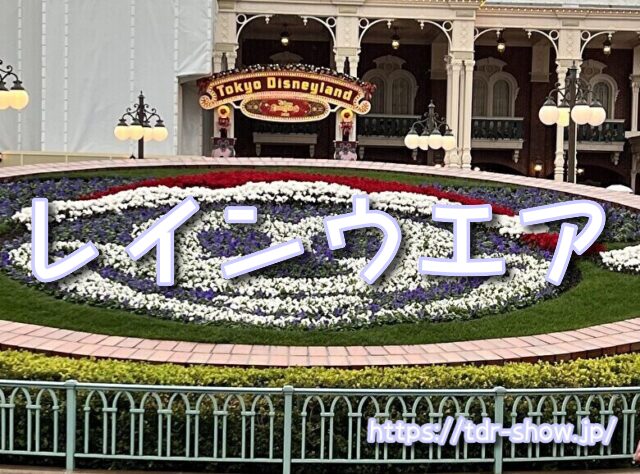 雨ディズニー　勝ち組