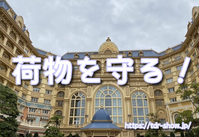 雨ディズニー　勝ち組