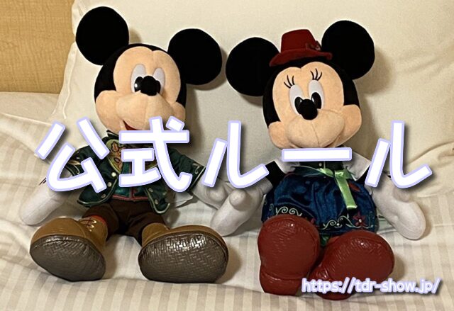 雨ディズニー　勝ち組