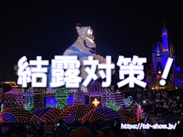 雨ディズニー　勝ち組