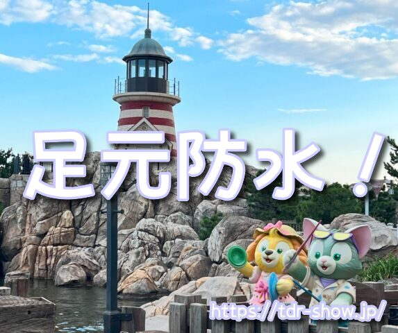 雨ディズニー　勝ち組