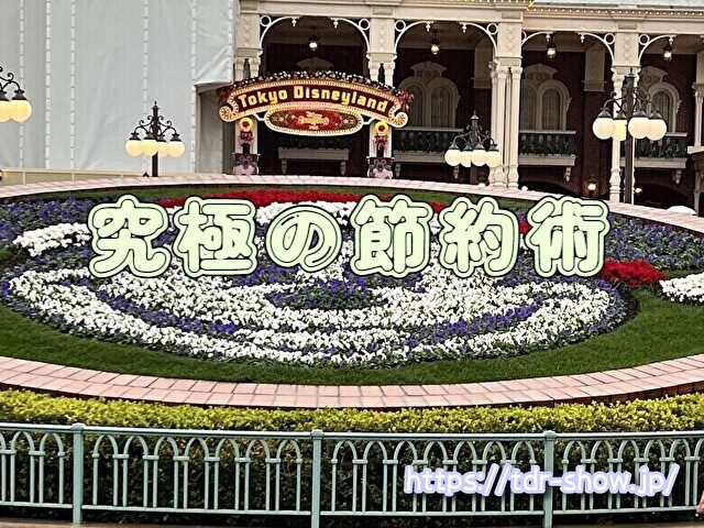ディズニーランド  4歳