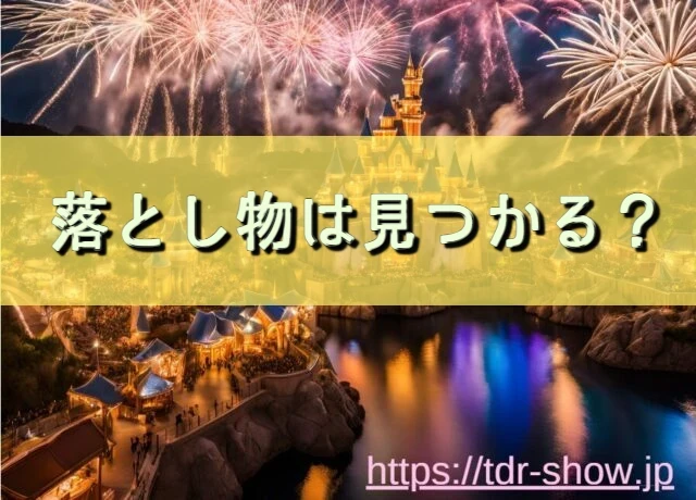ディズニーランド落とし物